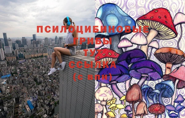 прущая мука Нягань