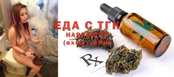 шишки Няндома