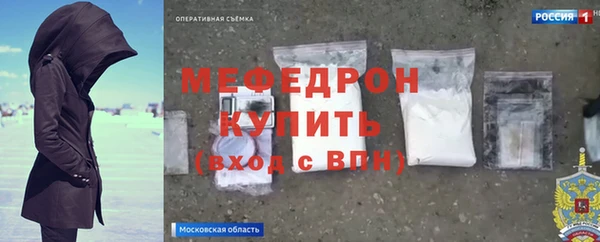 шишки Няндома