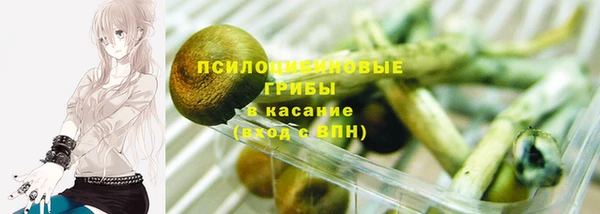 Альфа ПВП Нязепетровск