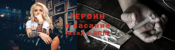 шишки Няндома
