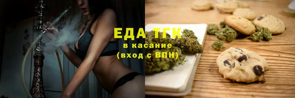 шишки Няндома
