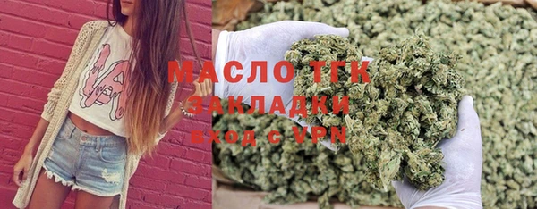 шишки Няндома