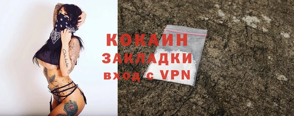 шишки Няндома
