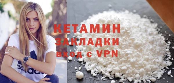 шишки Няндома