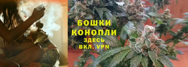 шишки Няндома