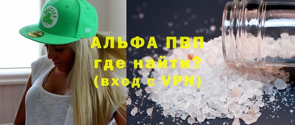 шишки Няндома