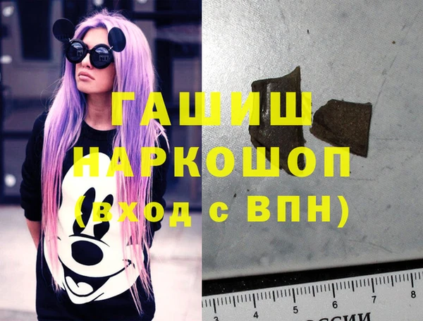 шишки Няндома