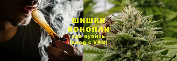 шишки Няндома