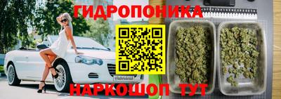 ГАЛЛЮЦИНОГЕННЫЕ ГРИБЫ Ирбит