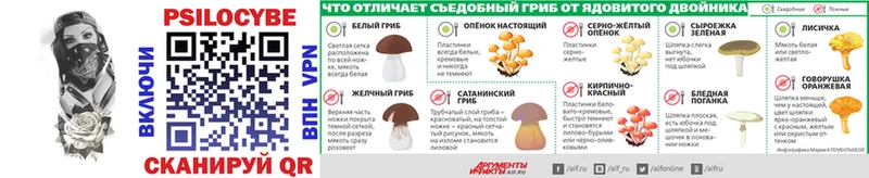 Псилоцибиновые грибы Cubensis Нальчик